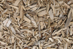 biomass boilers White Roding Or White Roothing